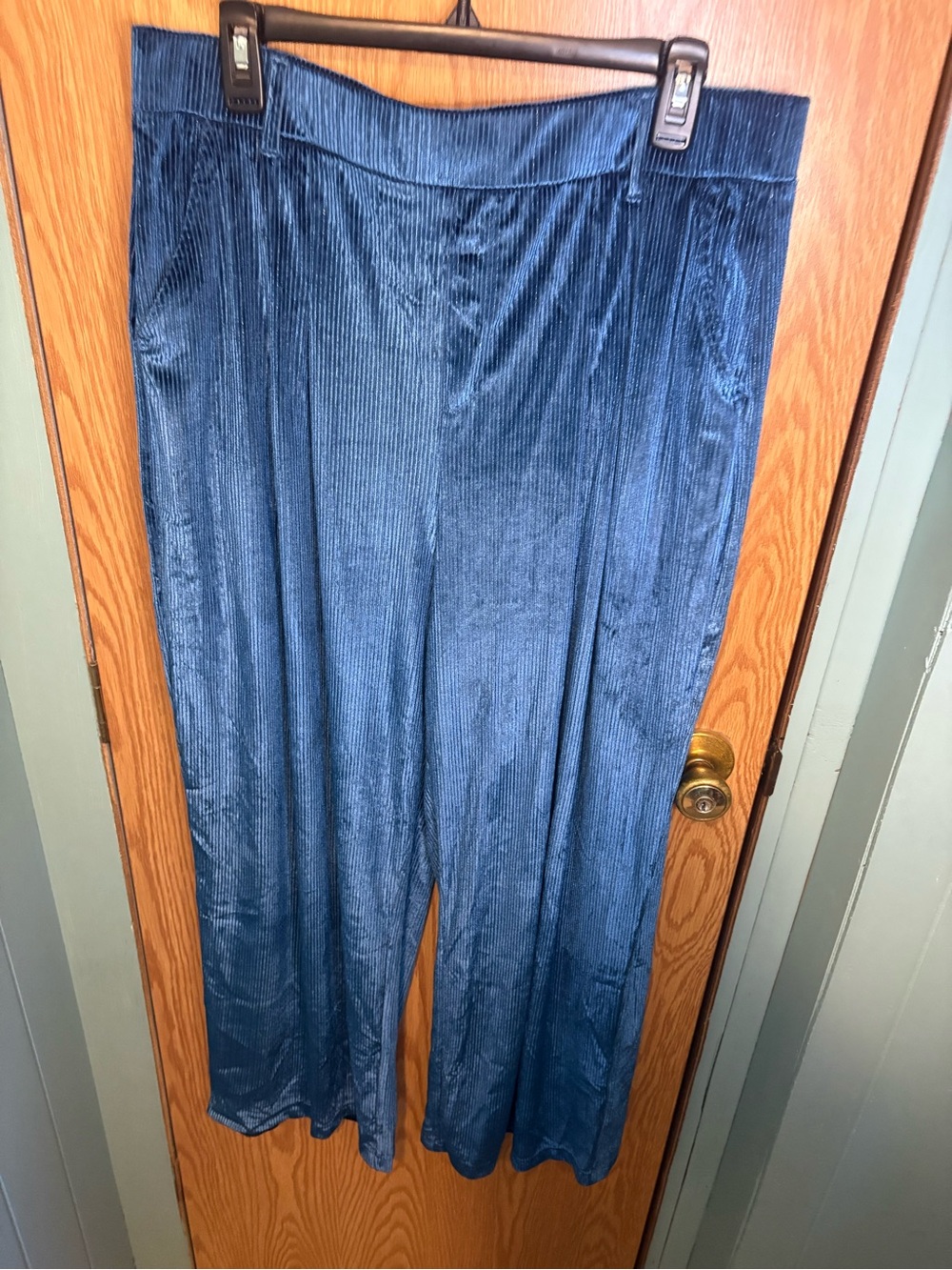 Halara mermaid work pants. Sparkle